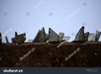 더이프;Theif | 41개의 Travel theif 로열티 프리 이미지 및 스톡 사진 | Shutterstock