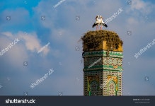 2,723 Stork nests tower 이미지, 스톡 사진 및 벡터 | Shutterstock