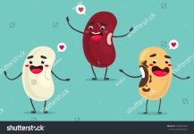 Beans Different Types Cartoon Style Smiling 스톡 벡터(로열티 프리) 1568652226 | Shutterstock