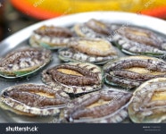 자갈치수산17호 | 부산 남포동 자갈치 수산 시장 스톡 사진 1716057922 | Shutterstock