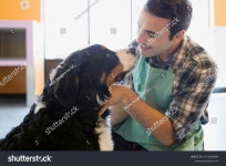 세인트 버나드를 쓰다듬는 개 탁아소 주인 스톡 사진 2215699089 | Shutterstock