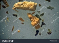 2,450개의 레퍼토리 이미지, 스톡 사진, 3D 오브젝트, 벡터 | Shutterstock