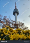 2023-0205-0788 | 서울, 대한민국 - 2023년 10월 30일: 스톡 사진 2388091067 | Shutterstock