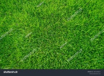 목초마을금마점 | 23,033,687개의 목초 이미지, 스톡 사진, 3D 오브젝트, 벡터 | Shutterstock