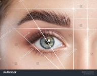 라제니스뷰티살롱 | 뷰티 살롱에서 아름 다운 여자의 눈썹에 스톡 사진 2518169239 | Shutterstock