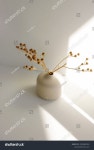 현대꽃화원;청송잔디 | 흰색에 가까운 건조 꽃 잔디와 현대 스톡 사진 2530961953 | Shutterstock