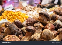 신선한 볼레투스 버섯 식품 시장 노점에 스톡 사진 2533267463 | Shutterstock