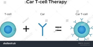 44개의 Tcell 이미지, 스톡 사진, 3D 오브젝트, 벡터 | Shutterstock