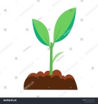 굿트리온(Good Tree On) | Planting Tree Good Soil Process Planting 스톡 벡터(로열티 프리) 2616674413 | Shutterstock