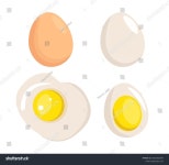 달걀 전란, 달걀 껍질이 없는 달걀, 스톡 벡터(로열티 프리) 2623102557 | Shutterstock