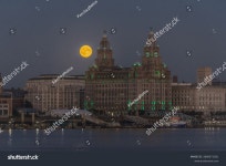 주식회사 문코퍼레이션 (Moon Corporation) | 7개의 Moonlight liver 로열티 프리 이미지 및 스톡 사진 | Shutterstock