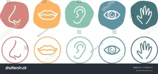 320개의 Five senses infographic 로열티 프리 이미지 및 스톡 사진 | Shutterstock