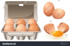 BlueRingMedia 소개 | Shutterstock 기고자