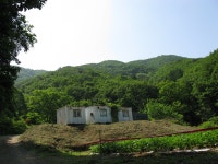 운영자님과 함께 한 채집
