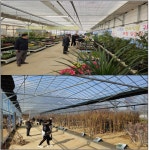 정관장홍삼용인전시판매장 | 용인시산림조합, SJ산림문화복합센터 나무전시판매장 본격 개장