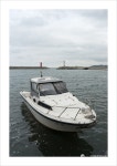Foto aus Naver-Suchergebnissen 6