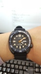 저도 블랙터틀 구매동참합니다 ㅎ - Japan Brand - TIMEFORUM