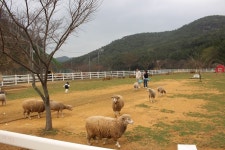 부산테마여행사