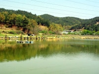 달골낚시터 - 경북 성주군 달골낚시터 - 경북 성주군
