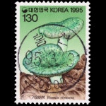 수집전문쇼핑몰 우문관 C1373(4) / 버섯(3집). 1종. 기와버섯 / 초일만월사용제 / 95.3.31 / 홍천