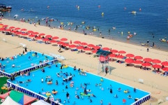 Foto aus Naver-Suchergebnissen 2