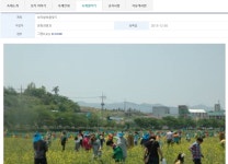 이든네이처전남영광 | 영광축제>Fun영광>영광군 문화관광