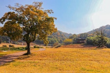 여수관광문화 > 이용안내 > 관광사진 다운로드 > 의 "선소" 게시물 상세보기