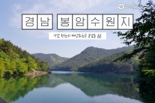 나우산림 유한회사 - 611 | 유한킴벌리>SNS>뉴스 모여라 동네숲! 가장 많은 사랑을 받는 우리 지역 숲은?
