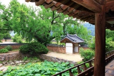 Ảnh kết quả tìm kiếm Naver 5