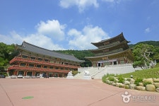 성남 대광사 | 여기유 성남 대광사
