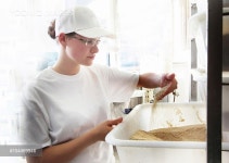크레이지베이커(Crazy Baker) | Baker looking at grain - 당신의 크리에이티브 파트너, 이미지사이트 윤익이미지 YOONIQ Images RF #104469946