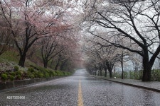 - 당신의 크리에이티브 파트너, 이미지사이트 윤익이미지 YOONIQ Images RM #207355666