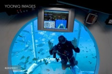 Scuba diver feeding fish while diving underwater with Submarine Safaris, Puerto Calero, Lanzarote, Canary Islands, Spain, Europe...