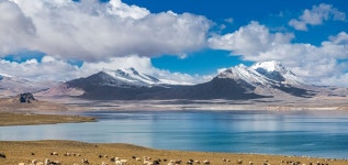 니마 여행 2025년: 항공권, 숙소, 맛집, 투어 특가 | 트립닷컴 | 2025년 11월