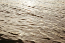 왓챠피디아 - 보리