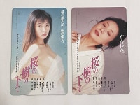 미사용/미품 2매 세트 희소 레어벚꽃의 이츠키아래에서 이와시타 시마 나나세 나쓰미 전화카드 전화 카드 50 ...