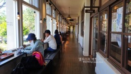 제주도 여행, 명월국민학교 - 오래된 폐교가 사람들이 찾아가는 인기있는 카페로 변신완료!