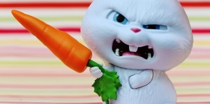 무료 이미지 : 꽃, 귀엽다, 식품, 장난감, 토끼, 애완 동물, 코, 어린이, 머리, 이상한, 오르간, 악...