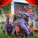 [제주] 점보빌리지 / 코끼리테마쇼 코끼리트래킹 체험 제주도공연 [11번가] [제주] 점보빌리지  / 코끼리테마쇼 코끼리트래킹 체험 제주도공연