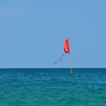 Red flag on sea against clear sky | ID: 80876612