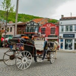 스코페에서 프리즈렌을 경유하여 티라나로 가는 방법 | GetYourGuide