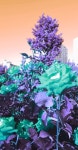 스푼 캐스트 | DJ sias*****님의 한나 몬타나...보고왔습니댜/스포주의