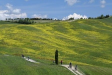 그래블 바이크를 타고 싶은 길들, 피나렐로 그레빌 - New Dossa - 그래블 바이크를 타고 싶은 길들,...