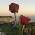 We Heart It의 Monik Cortez(@monik_cortez) Monik Cortez