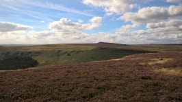 Thomas Hall | Strava를 사용 중인 달리기 선수