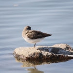 네이처링 | 임경택의 이름제안