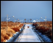 Image 23204 - RaySoda 토마왕