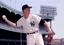 자니 쿡스 - 나무위키 자니 쿡스