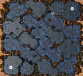 세룰리안 폴 - 나무위키 세룰리안 폴