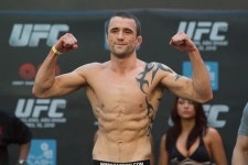 폴 테일러 - 나무위키 폴 테일러